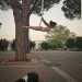Dalla mia camera passai quindi ad allenarmi in una piazza di Cavallino, l dove c un albero che mi diede la possibilit di montare unamaca pi alta, permettendomi cos di cimentarmi con figure pi particolari